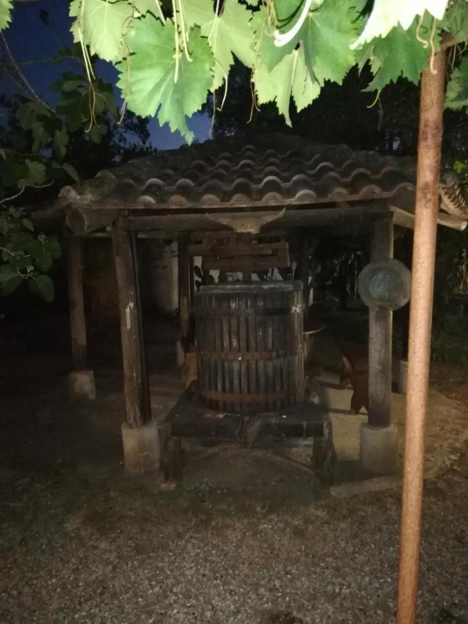 & Mare Appartement Palmi